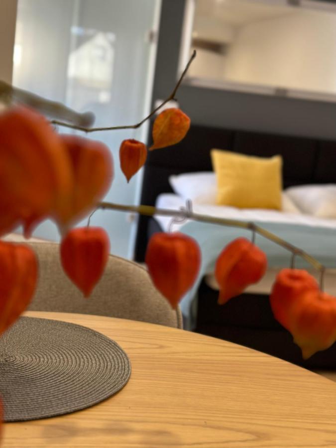 Studio Apartman Kőszeg Esterno foto